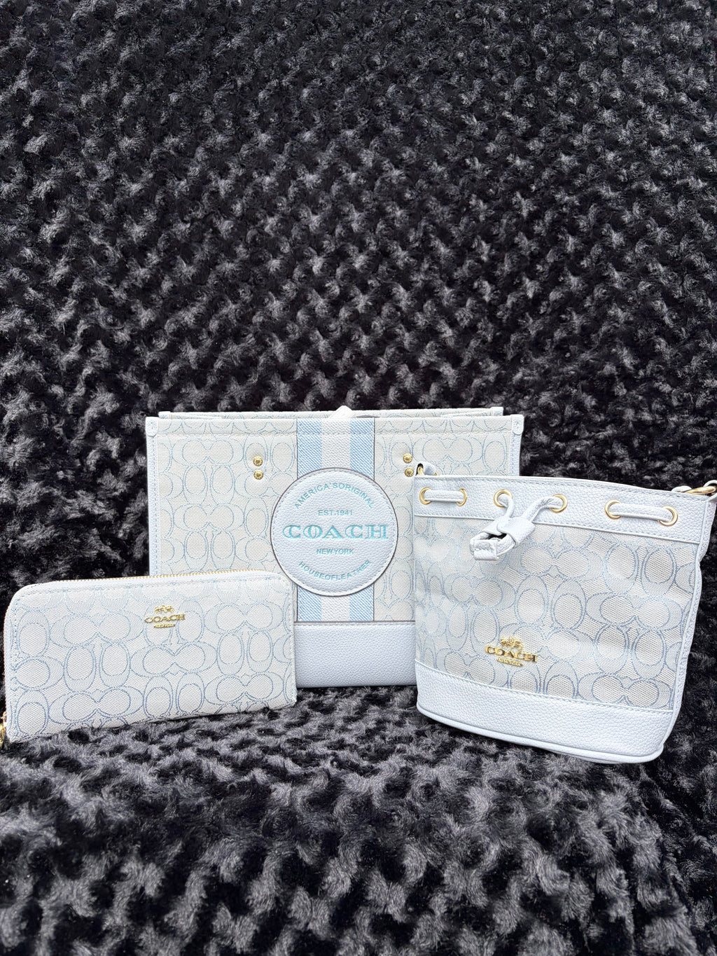 Blue Coach Set