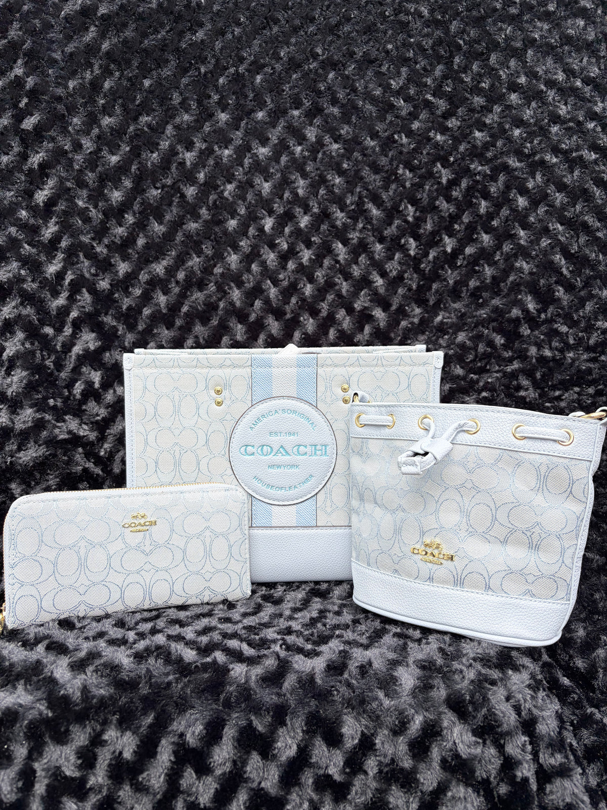 Blue Coach Set