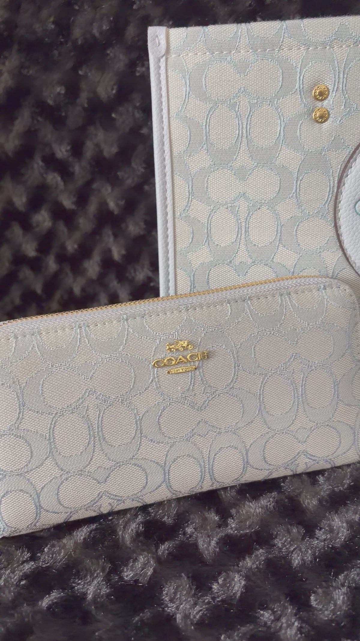 Blue Coach Set